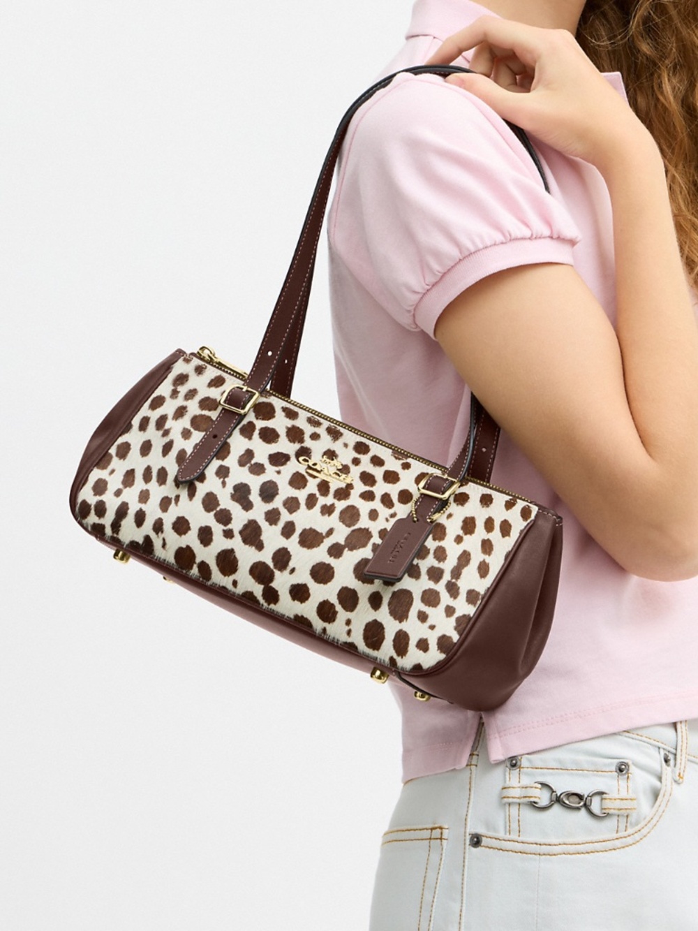 Coach Asher Shoulder Bag In Haircalf - CES68